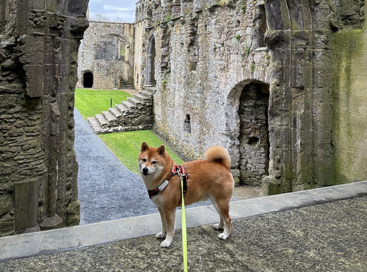 Cathédrale St David, Pays de Galles © Christian Thevathasan